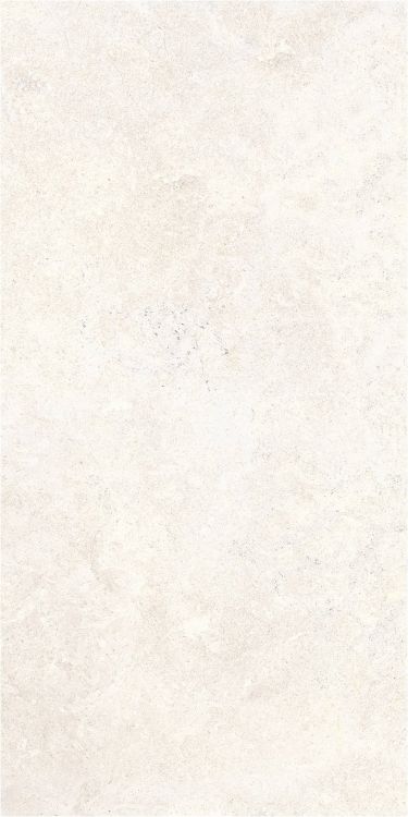 OL Limestone Bianco Matte 24 x 48